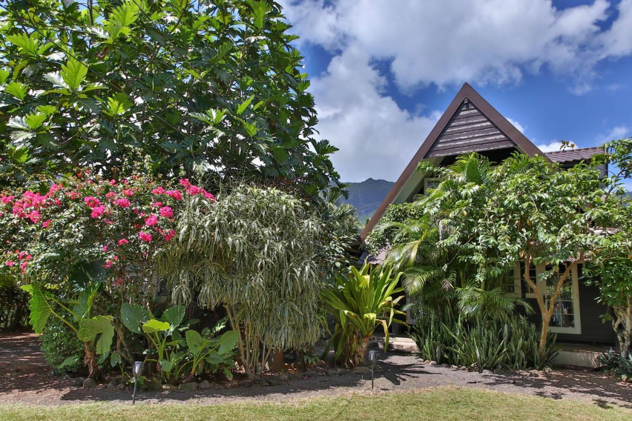 Fare Haurevaiti Moorea Paopao Kültér fotó