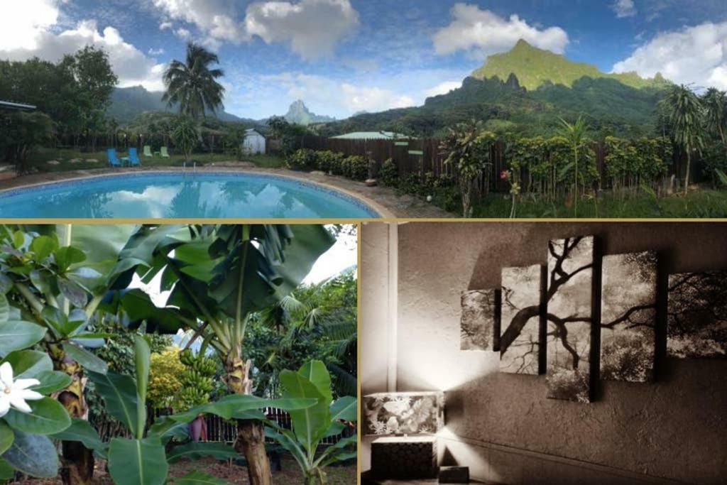 Fare Haurevaiti Moorea Paopao Kültér fotó
