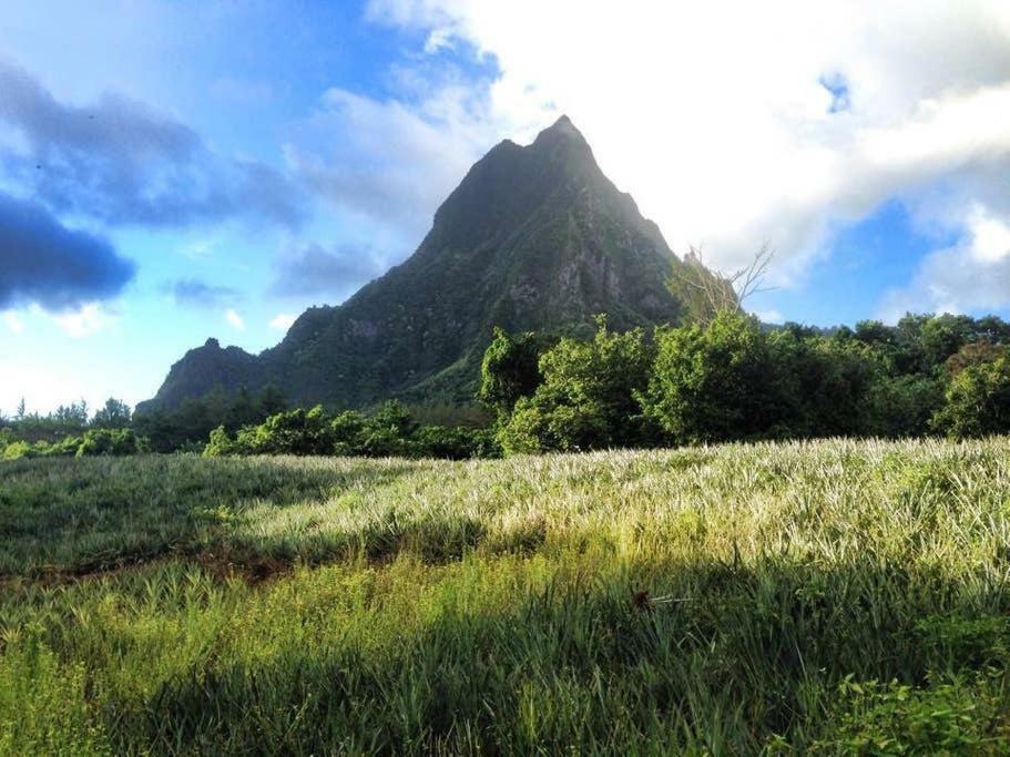 Fare Haurevaiti Moorea Paopao Kültér fotó
