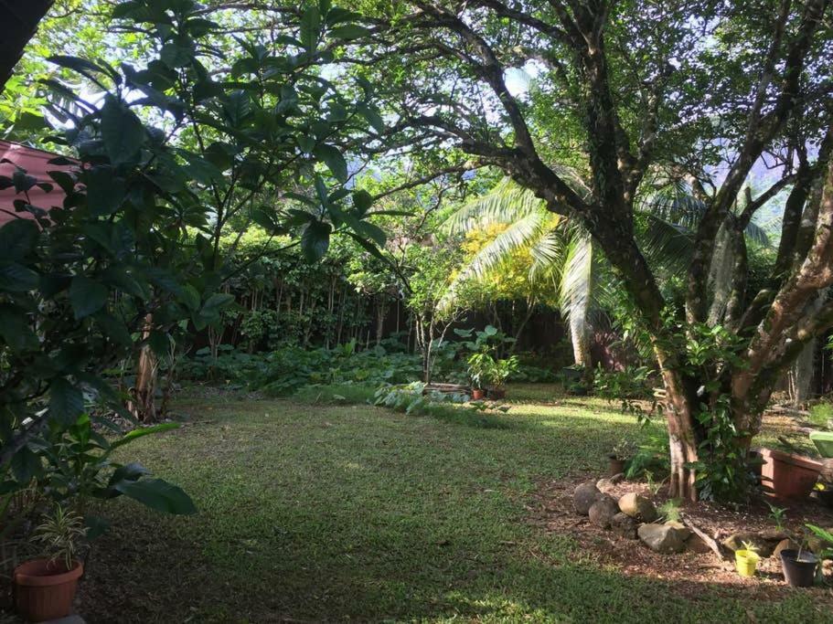 Fare Haurevaiti Moorea Paopao Kültér fotó
